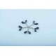 100 Pieces of Barley Scarf and Shawl Clips 100 Pieces of Barley Scarf and Shawl Clips